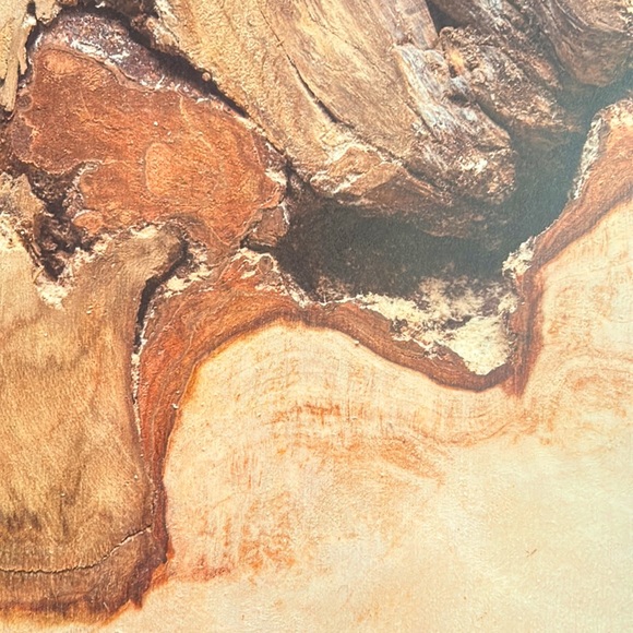 Scrapbook Paper! Wood Backgrounds & Textures! 12x12” - Picture 15 of 17